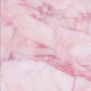 Meet your Posher, Arianna